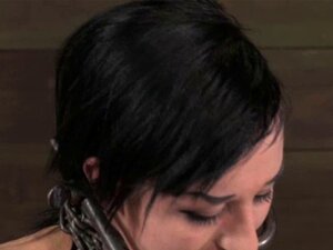 Bebê tatuado com açúcar bdsm babando por todo o dildo