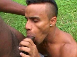 Kuumottava Beefy Action Ulkopuolella Puutarha