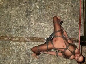 Gefesselte und hängende 3D-Babe wird hart gefickt