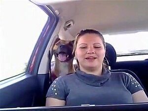 Sexy live-cam im auto