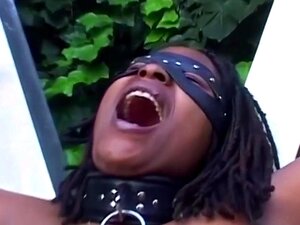 Echter Outdoor-Afro-S&M-Doxy-Hardcore-Gruppensex-Fickfest
