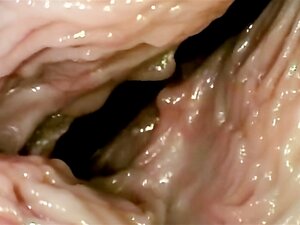 Wie sieht Sex von innen aus! Nahaufnahme der Vagina
