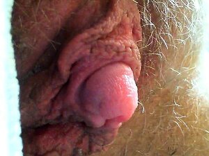 Nahaufnahme einer Klit, die riesig ist