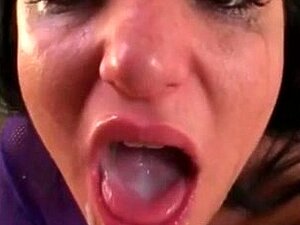 Das Beste von Cumswallow Compilation 35
