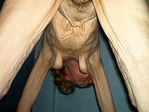 OMAFOTZE Omas mit großen Ärschen. Alte Omas zeigen ihre großen