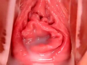 In Lauras rasierte Muschi mit Spekulum,