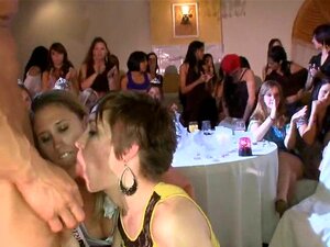 Erregende Schwanzlutsch-Session. Freche Schatze teilen ihre