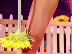 Фантазијско игралиште Аликс Линкс