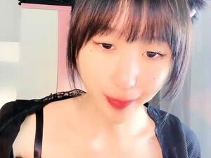 Asiatisches koreanisches Amateurpaar hat selbstgemachten Webcam-Sex